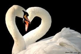 იხარე ორივე სოფელსა შინა