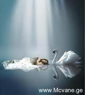 ფიქრი არ მშორდება შენი