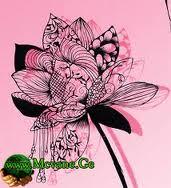 ლათინური ანდაზები