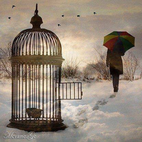 მაჩუქეთ ბედნიერება