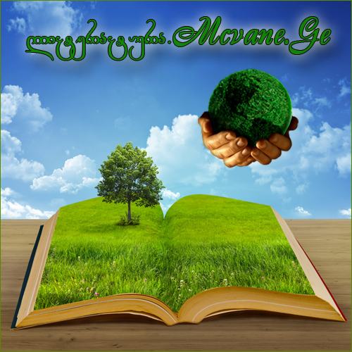 გრიგოლ ჯულუხიძე - ქართველი პოეტი