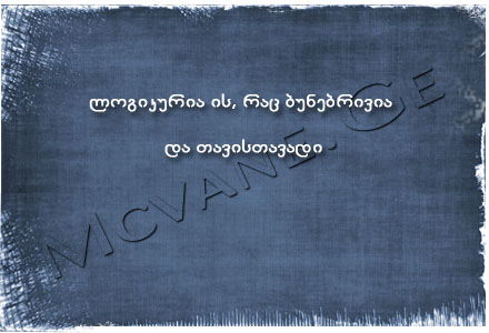 ინგა გულაშვილის გამონათქვამები