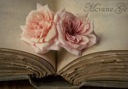 ნიკა ნორიელი - როდესაც მთვარე ამოვა ცაზე