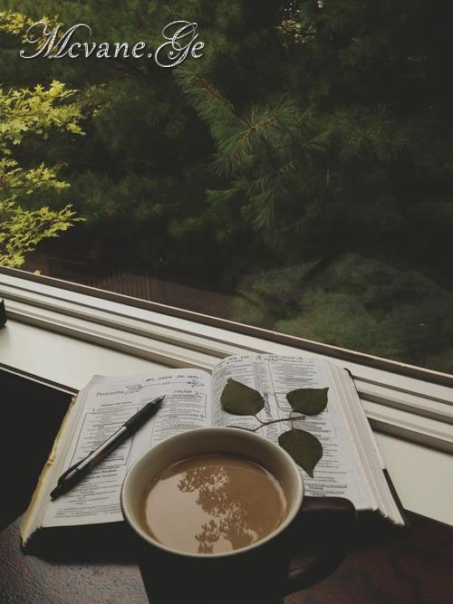 სტატუსები - statusebi